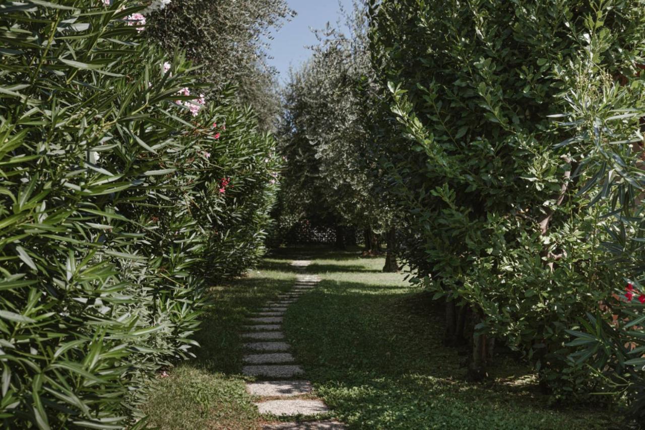 App. Mimosa Minerva Holiday Home Manerba del Garda Luaran gambar